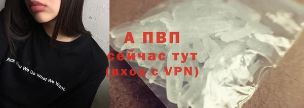 эйфоретик Баксан