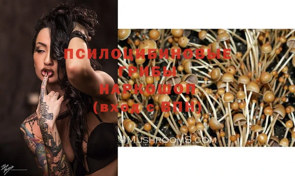spice Новозыбков