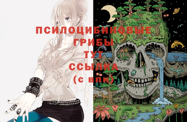 бутират Новодвинск